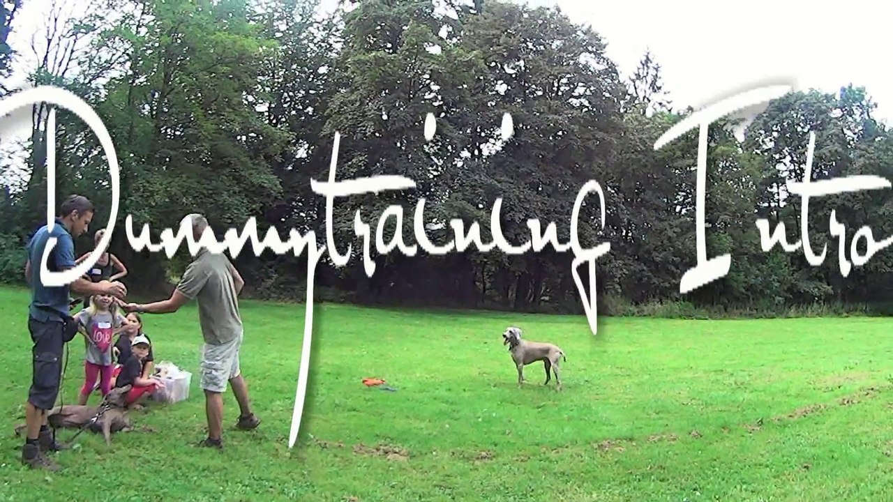 Dummytraining-Intro mit Marc Holtmann