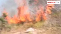 Milas'ta Korkutan Orman Yangını