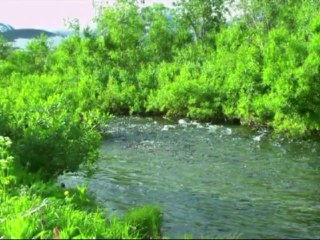 Фильм Полярный Урал 2011-2012