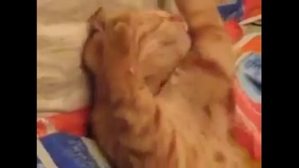 Pranks - Gags - Win - Fail.79