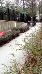 Jump over bush almost break his back