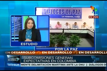 Comisión histórica busca esclarecer orígenes del conflicto colombiano