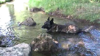 2014-07-05 Dubai positions Web