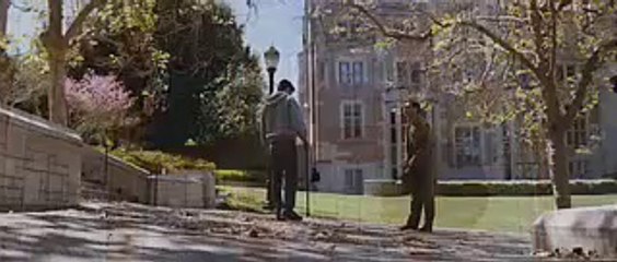 The Peaceful Warrior