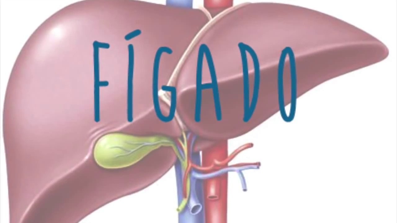 Limpeza do Fígado e Vesícula para a Saúde e Emagrecimento (Andreas Moritz)