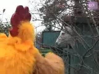 EXCLU PUBLIC.FR : interview de La Poule