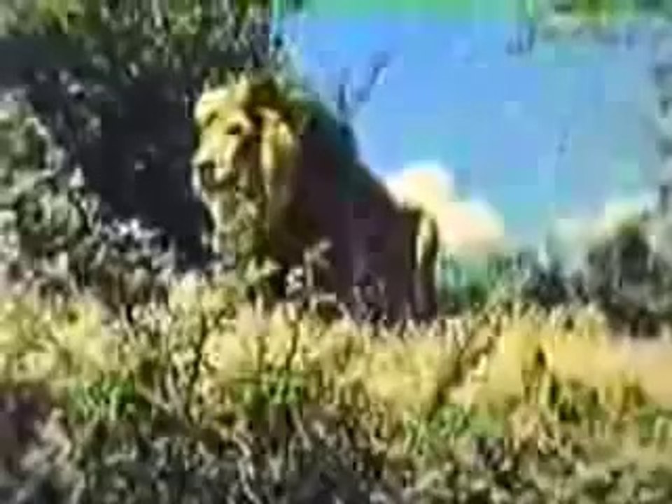 Tarzan (full) ft Ron Ely opening titles