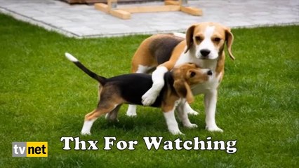 doğum günü hediyesi bambaşka