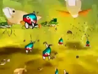 A Onda Festa na Pororoca