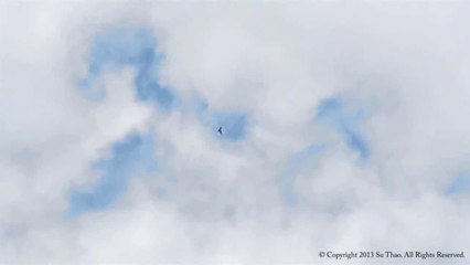 비비바카라사이트㎑ｋ㈕㈕ｋ㎑θACE989.COMθ㎑ｋ㈕㈕ｋ㎑비비바카라사이트