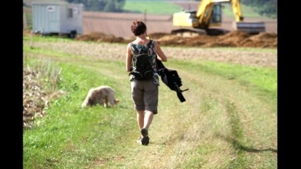 Contournement Auxerre sud:  Premiers coups de pelle