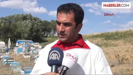 Çözüm Süreci Arıcılara Yaradı