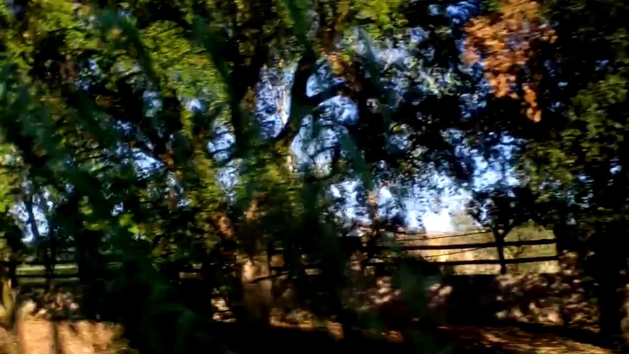 Agro Pontino