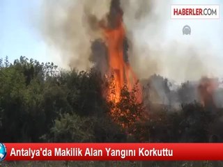 Antalya'da Makilik Alan Yangını Korkuttu