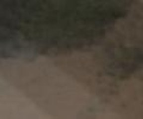 Şam'da "zehirli gaz kullanıldı" iddası