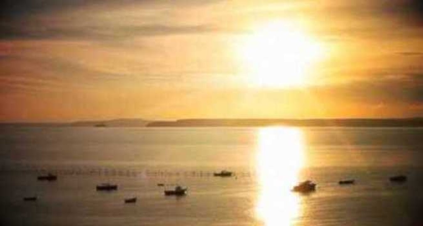 Exodus of the Paddle Boarders