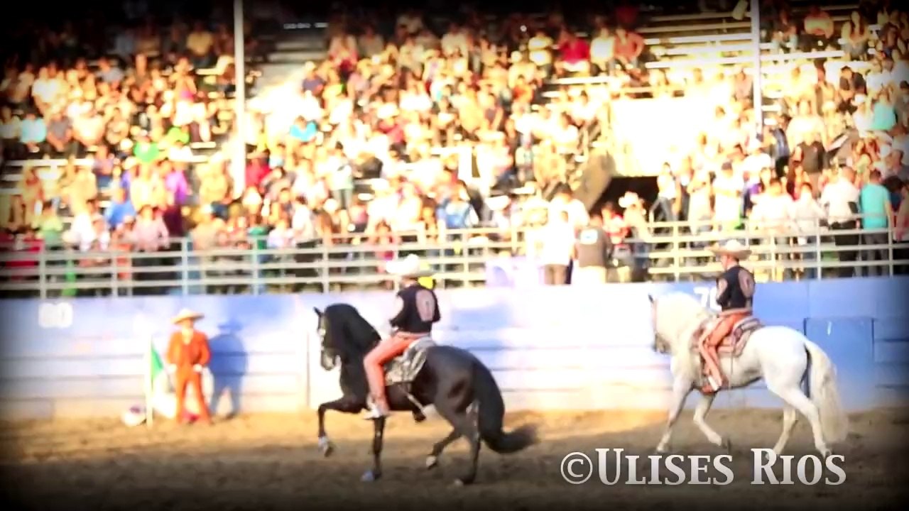 Bandido de Amores - Ezequiel Peña y Ezequiel Peña Jr (En Vivo)