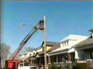 Try not to laugh. Best Animals Fail & Wins Compilation Ever !! Funny Hahahah !!