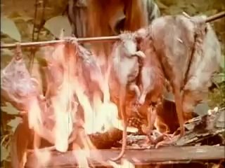 I Drink Your Blood (1970) trailer