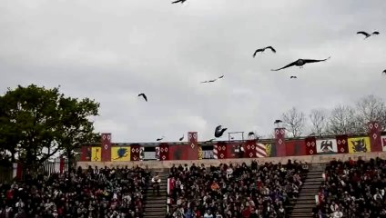 _DSC8492 Puy du Fou, le Bal des Oiseaux Fantômes, CLIP fin