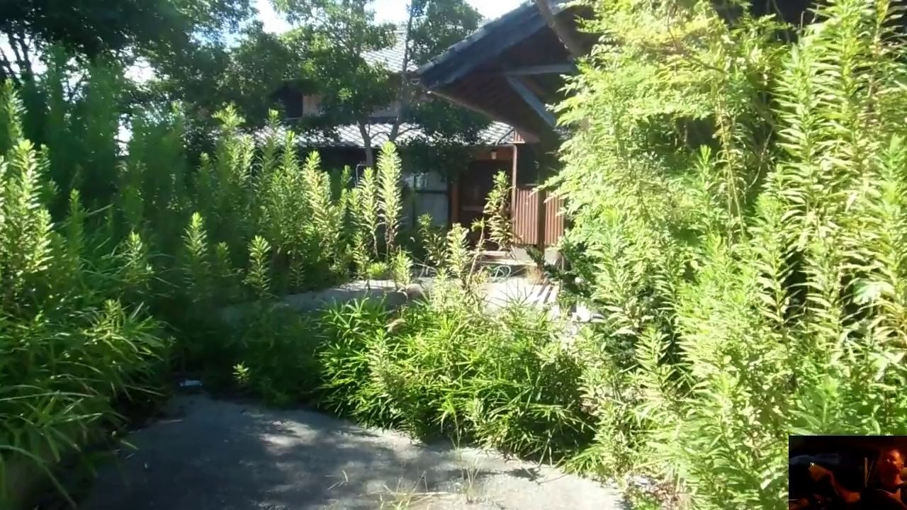 Ghost Houses in Japan!