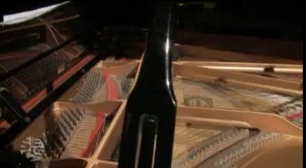 Piano - Uma história de 300 Anos