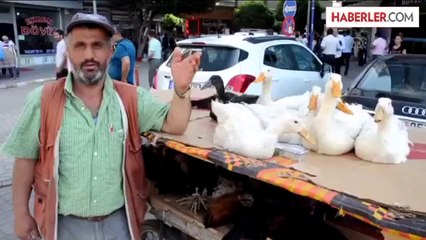 Seyyar arabada tavuk ve ördek satıyor