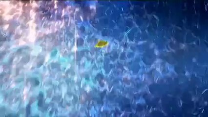 h2o just add water season 2 - Official Trailer