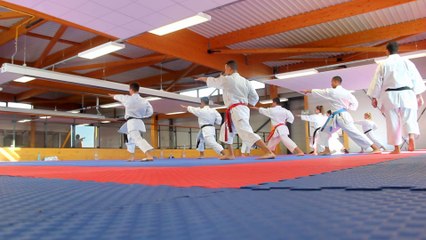 Objectif Brême 2014 - Stage Equipe de France Kata - 23 Août 2014