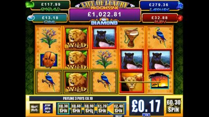 Jungle Cats Slot Game