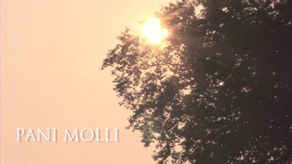 Dan Yadin & GoodYouth & Prince Maniaco & Yealo Nevich - Pani Molli