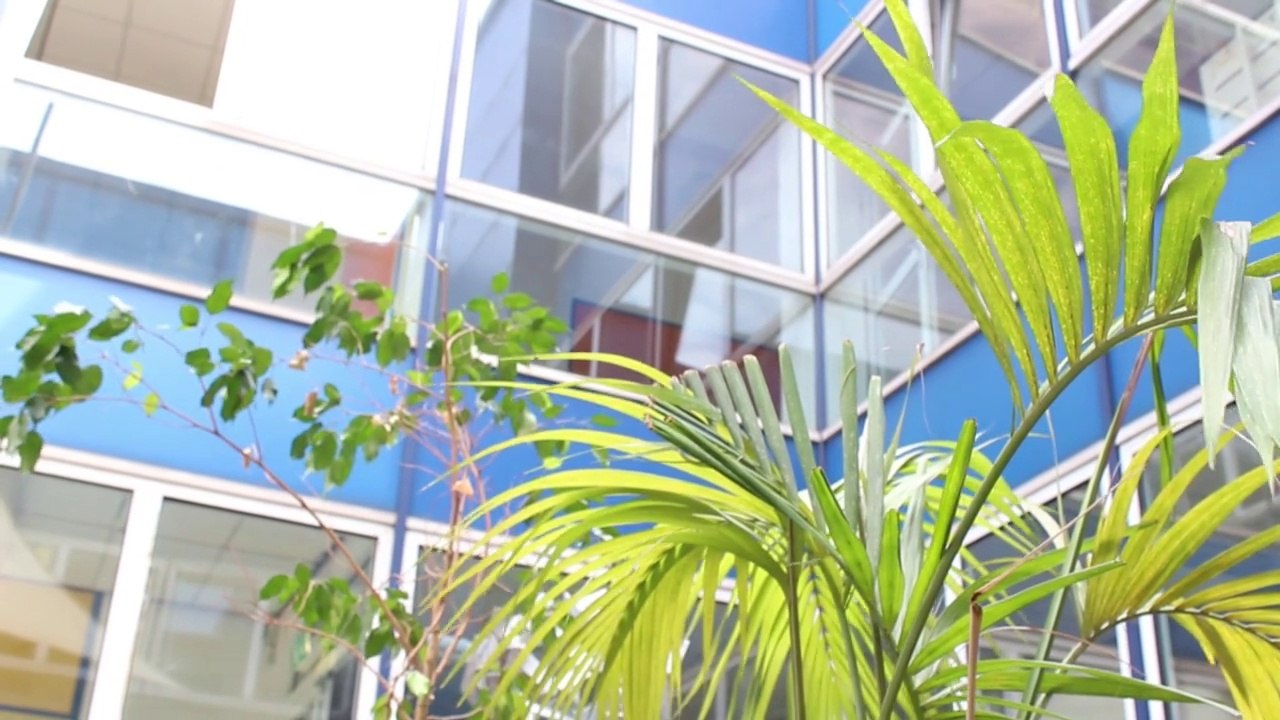 kleines aktuELLY-Sommer-Special