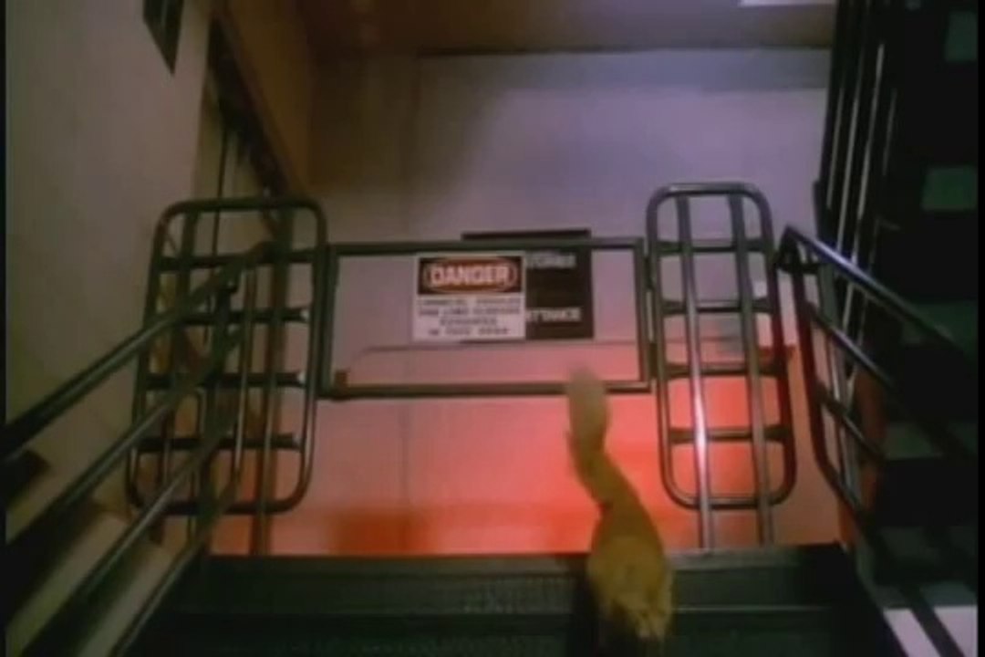 Uninvited Trailer