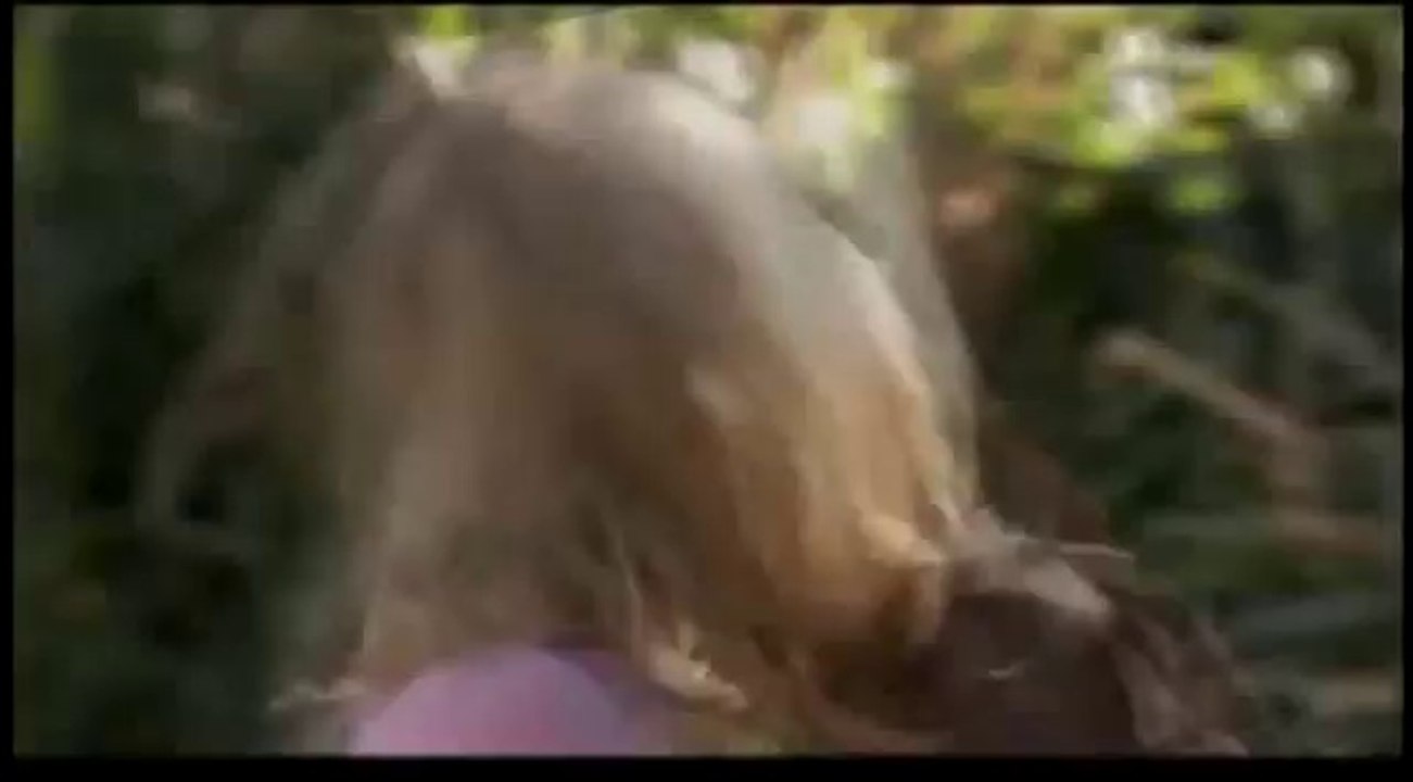 Nick Chinlund: "Hallowed Ground" 2007 (Trailer)