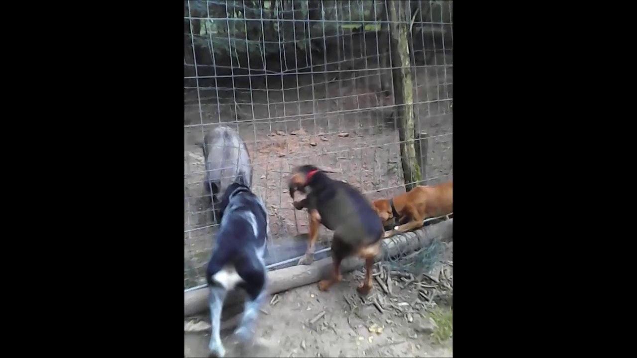 video 3