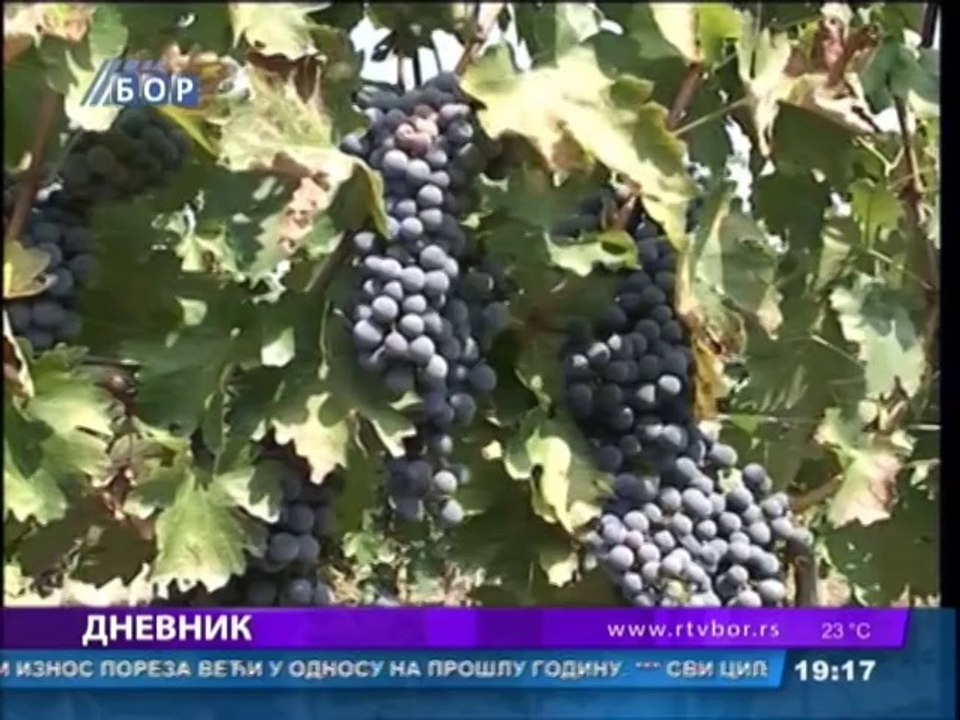 Dnevnik, 23. avgust 2014. (RTV Bor)