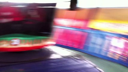 Mum Screaming at a Wild Ride