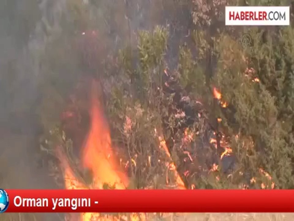 Orman yangını