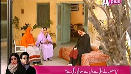 Kaneez Episode 3 Full Drama on Aplus "24 August 2014"