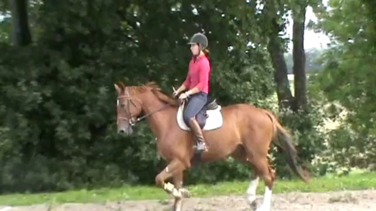 20140823 Tsar Sandillon le trot