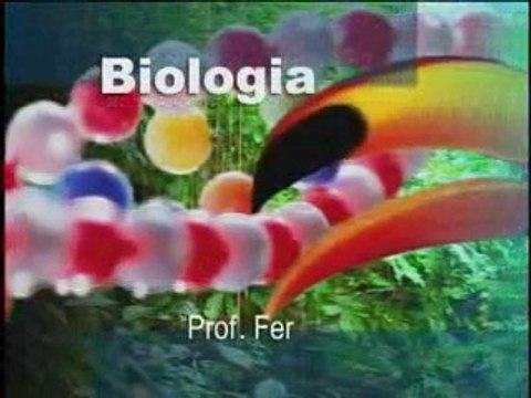 BIOLOGIA CORDADOS ANFÍBIOS, RÉPTEIS, AVES E MAMÍFEROS