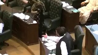Female Parliamentarian Bashing Shahbaz Sharif