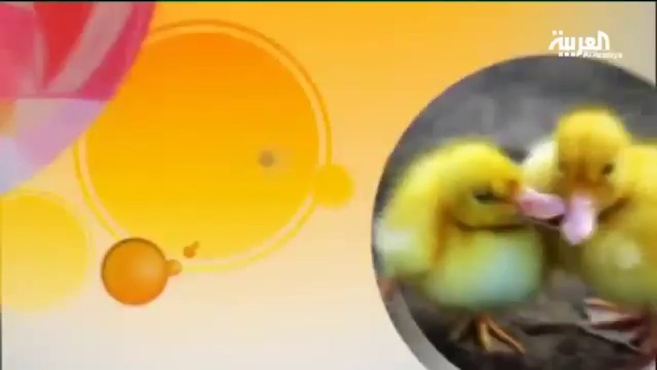 ماكياج يتحول إلى لوح فنية على الفم