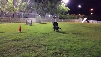 Practica de RING FRANCES