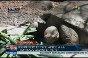 Ecuatorianos dieron último adiós a tortuga gigante 