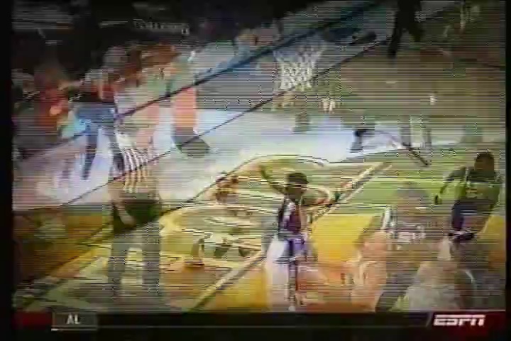 2008 NCAA Womens' Basketball Champions - Tennessee