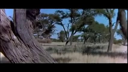 The Gods must be crazy  II Theme / Soundtrack