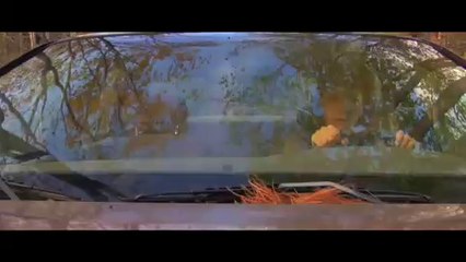 OUT OF OUR MINDS OOOM TRAILER