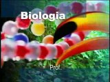 BIOLOGIA GENÉTICA INTRODUÇÃO HISTÓRICA E CONCEITOS GERAIS